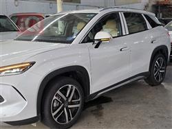 بي واي دي سونغ L DM-i